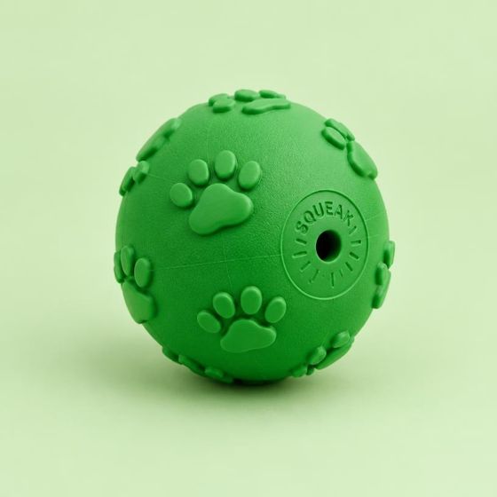 Squeaky Paw Ball